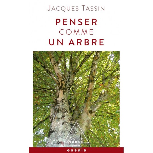 PENSER COMME UN ARBRE