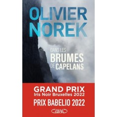 DANS LES BRUMES DE CAPELANS