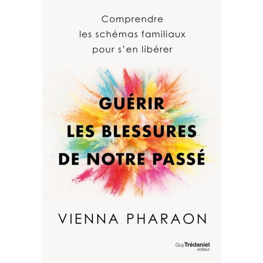 GUERIR LES BLESSURES DE NOTRE PASSE - COMPRENDRE LES SCHEMAS FAMILIAUX POUR S'EN LIBERER