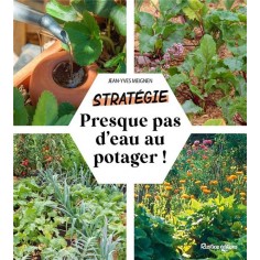 PRESQUE PAS D'EAU AU POTAGER