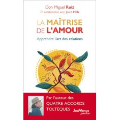 LA MAITRISE DE L'AMOUR - APPRENDRE L'ART DES RELATIONS