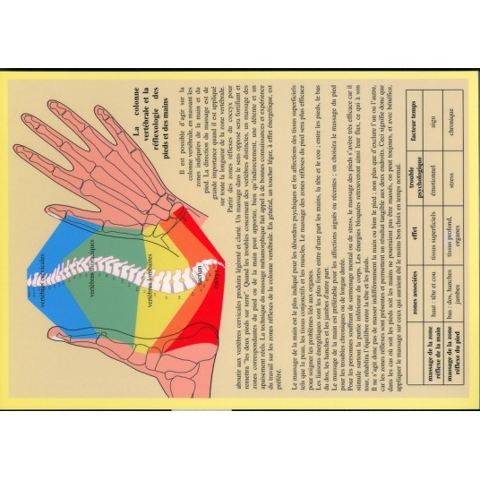 PLANCHE ZONES REFLEXES DE LA MAIN ET DU PIED - A4