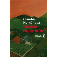 DEFRICHE COUPE BRULE