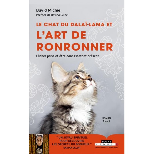 LE CHAT DU DALAI-LAMA - LE CHAT DU DALAI LAMA ET L'ART DE RONRONNER (TOME 2) - LACHER PRISE ET ETRE