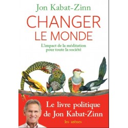 L'EVEIL DE LA SOCIETE - LA REVOLUTION DE LA MEDITATION