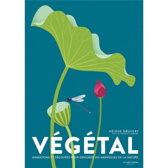VEGETAL