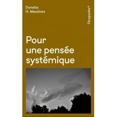 POUR UNE PENSEE SYSTEMIQUE