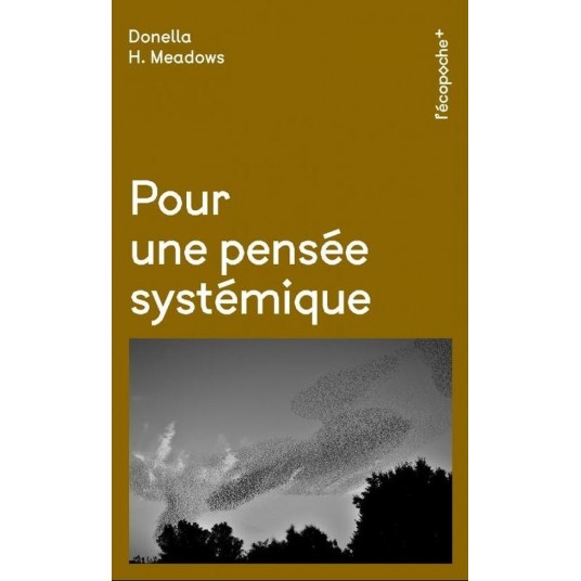 POUR UNE PENSEE SYSTEMIQUE