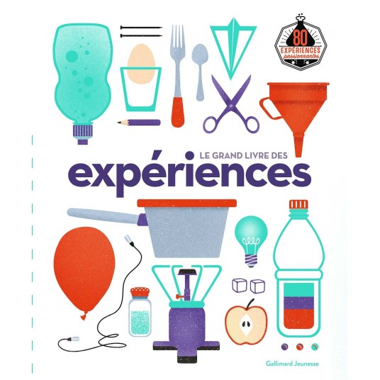 LE GRAND LIVRE DES EXPERIENCES