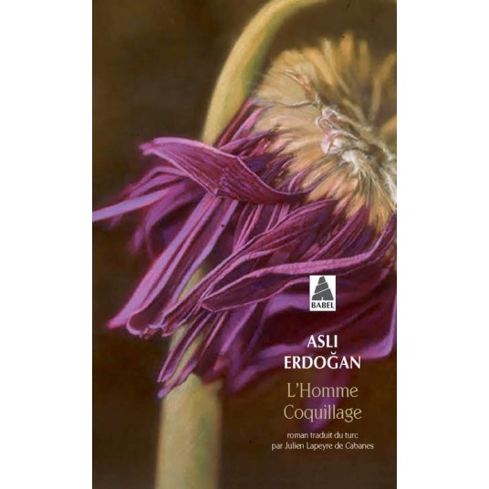 L'HOMME COQUILLAGE