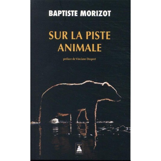 SUR LA PISTE ANIMALE