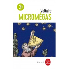 MICROMEGAS