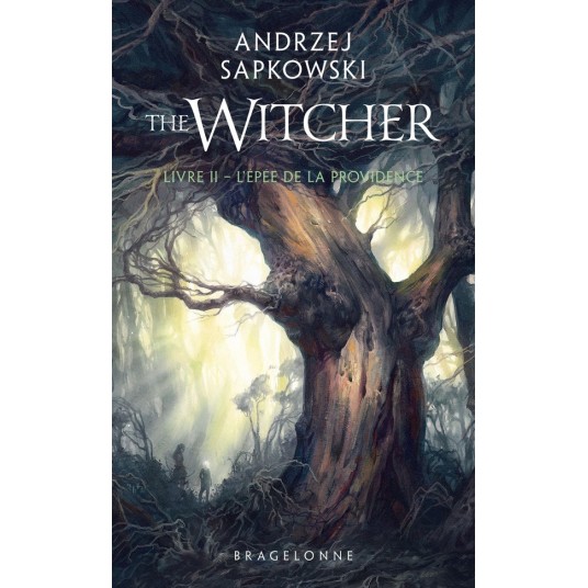SORCELEUR (WITCHER) POCHE - SORCELEUR (WITCHER) - POCHE, T2 : L'EPEE DE LA PROVIDENCE (TRADUCTION RE