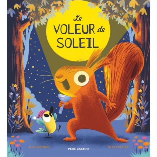 LE VOLEUR DE SOLEIL