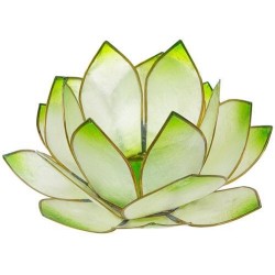PHOTOPHORE LOTUS - COLORIS VERT LIME