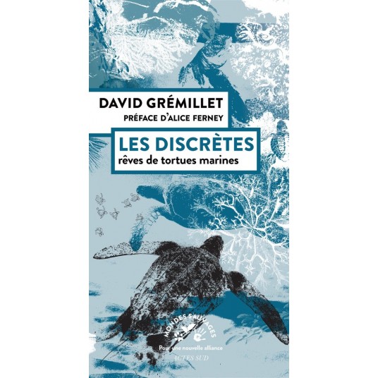 LES DISCRETES - REVES DE TORTUES MARINES