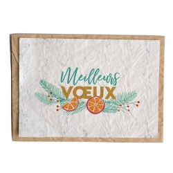 CARTE À PLANTER - MEILLEURS VOEUX