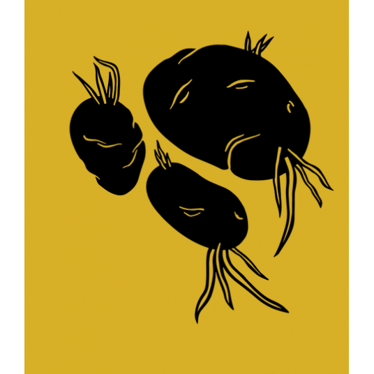 Revue Utile #2 - La Pomme de Terre