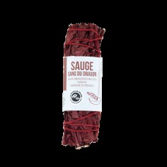 TRESSE SAUGE SANG DU DRAGON - 10 CM