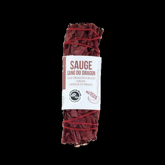 TRESSE SAUGE SANG DU DRAGON - 10 CM