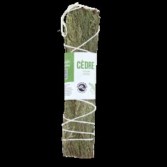 PLANTES A RITUELS - CEDRE 15CM