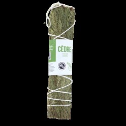 PLANTES A RITUELS - CEDRE 15CM