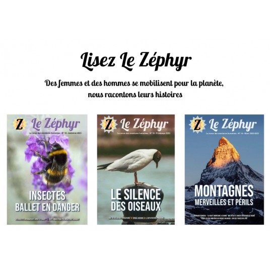 LE ZEPHYR N 16 - INSECTES : BALLET EN DANGER